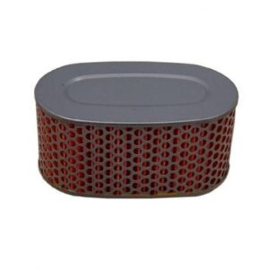 Filtro Aire Moto Hiflofiltro HFA1710