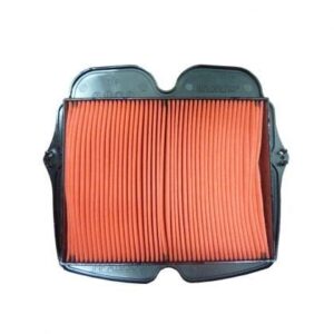 Filtro Aire Moto Hiflofiltro HFA1930