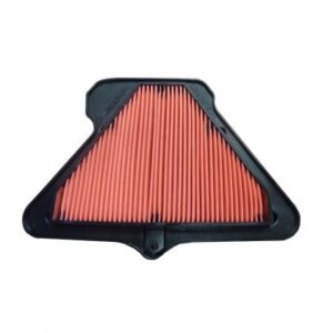 Filtro Aire Moto Hiflofiltro HFA2918