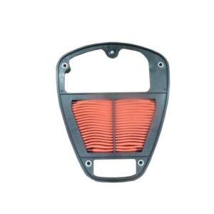 Filtro Aire Moto Hiflofiltro HFA2919