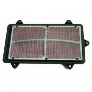 Filtro Aire Moto Hiflofiltro HFA3903