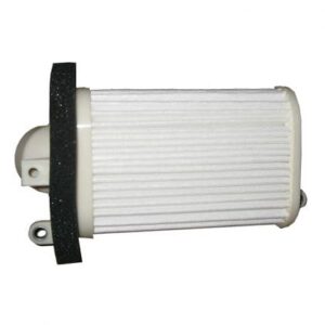 Filtro Aire Moto Hiflofiltro HFA4509
