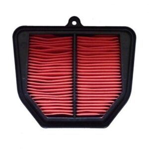Filtro Aire Moto Hiflofiltro HFA4917
