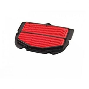 Filtro Aire Moto Hiflofiltro HFA4923