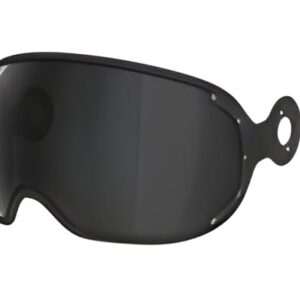 VISOR/PANTALLA MOMO FGTR EVO/CLASSIC - E2206 - SMOKE 80%