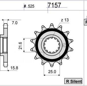 PIÑON OGNIBENE 15 D mod 7157