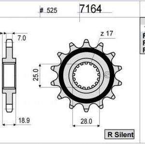 PIÑON OGNIBENE 16 D mod 7164